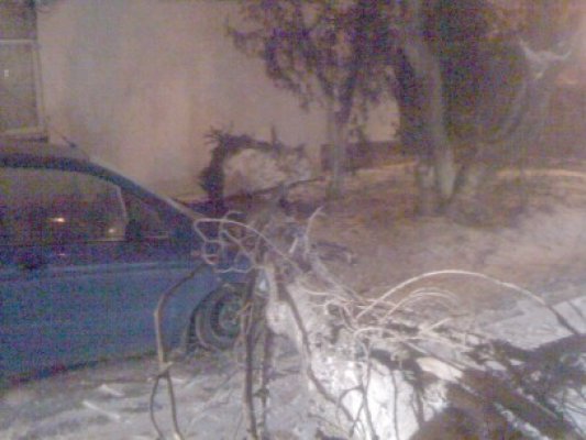 Maşini avariate, după ce un copac a căzut peste ele